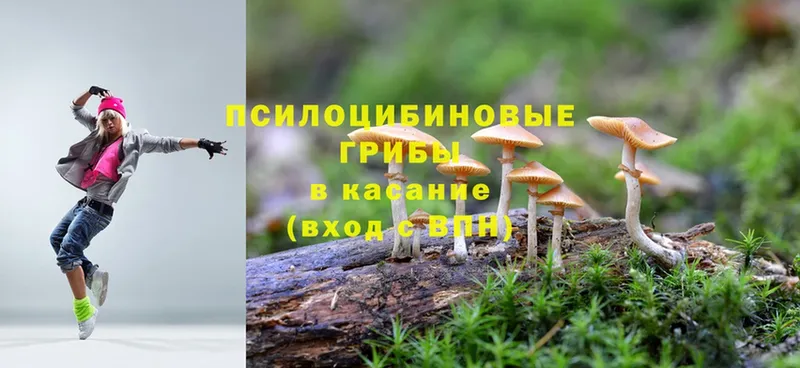 Псилоцибиновые грибы Cubensis  купить наркотики сайты  блэк спрут   Мураши 